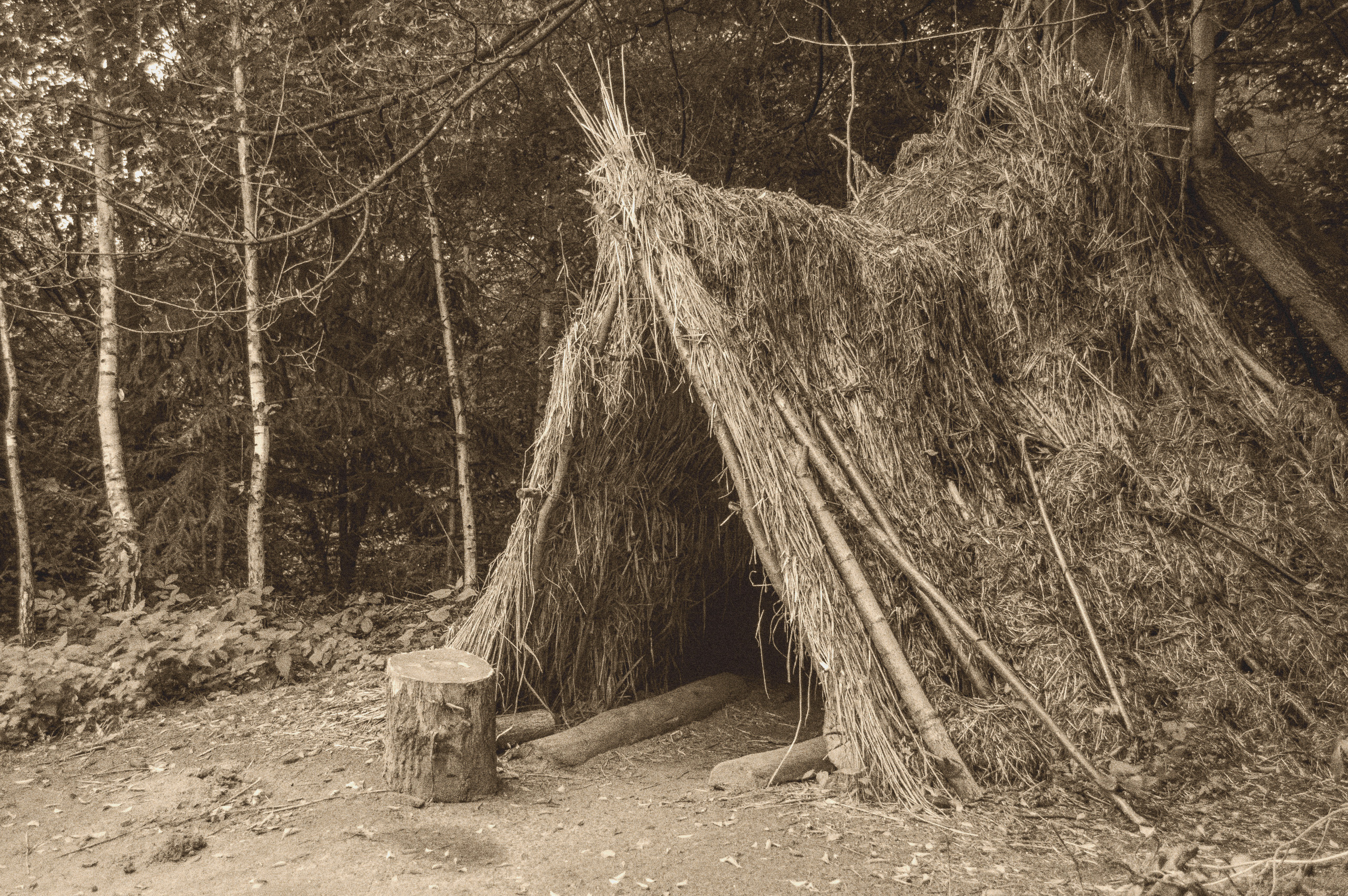 Survival Fundamentals: The Rule of Threes