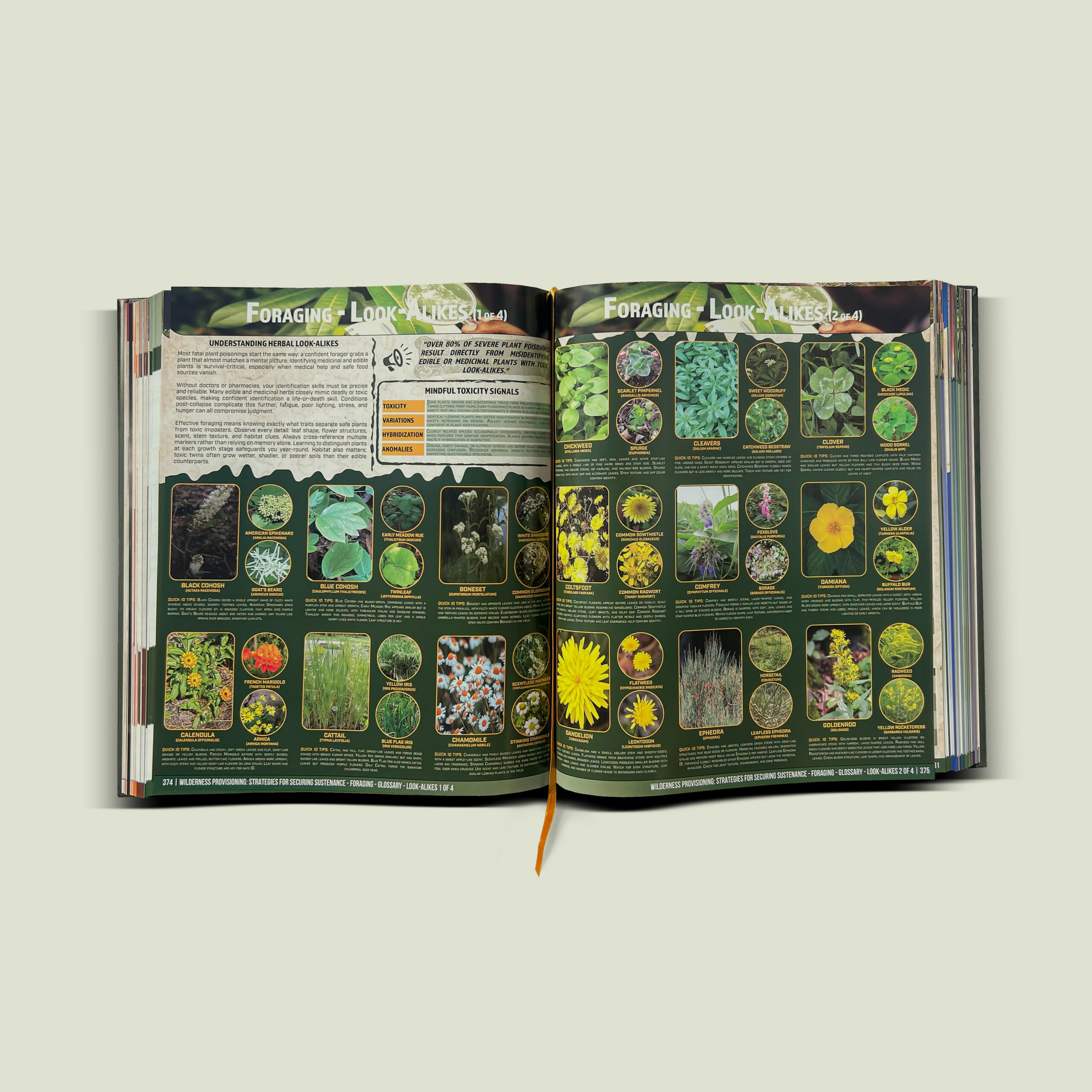 Guide and Bag Bundle - Image 8